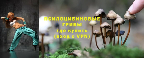 индика Белокуриха