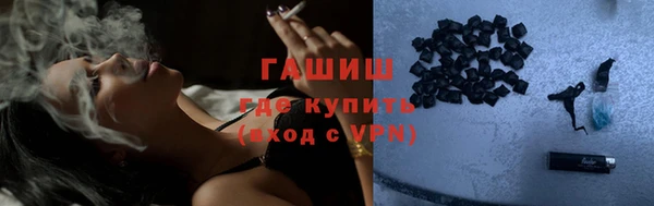 индика Белокуриха