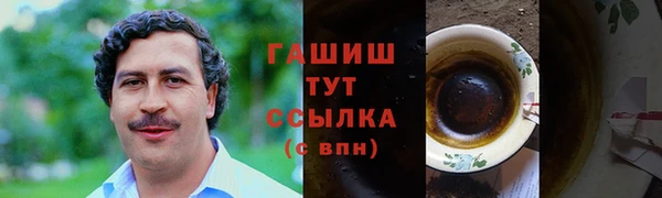 индика Белокуриха