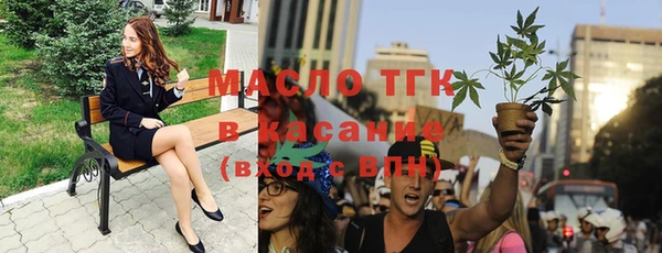 индика Белокуриха