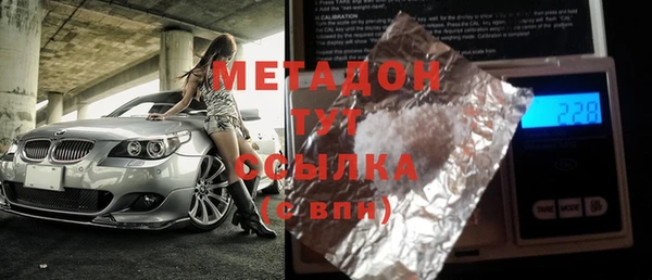 индика Белокуриха