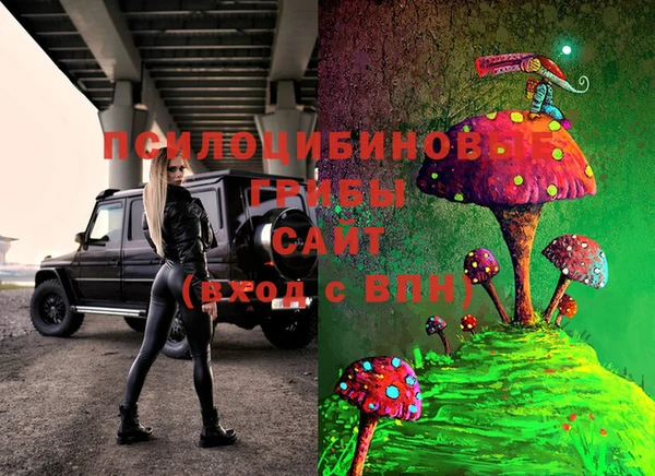 индика Белокуриха
