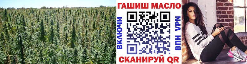 Дистиллят ТГК гашишное масло  Купить закладки  Таштагол 