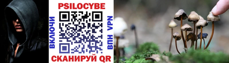 Галлюциногенные грибы GOLDEN TEACHER  Купить  Таштагол 